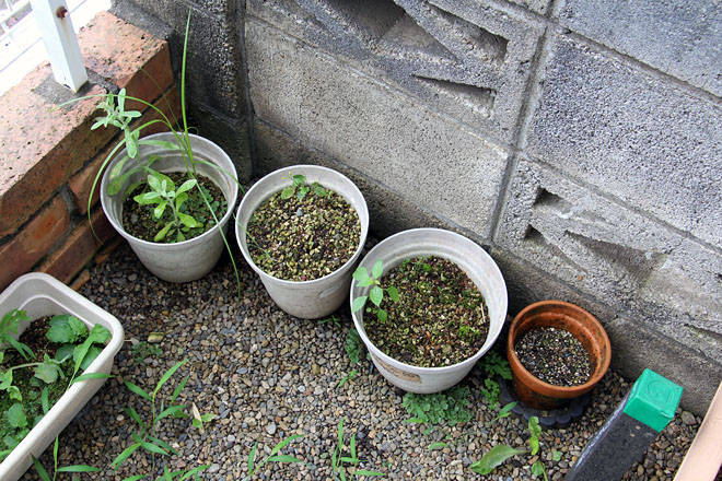 f:id:takahikonojima:20200730084915j:plain