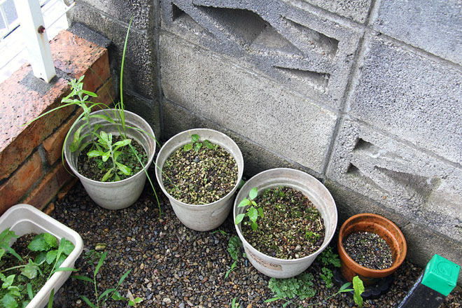 f:id:takahikonojima:20200731071914j:plain