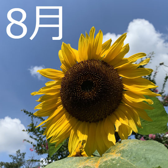 f:id:takahikonojima:20200801095100j:plain f:id:takahikonojima:20200801095100j:plain