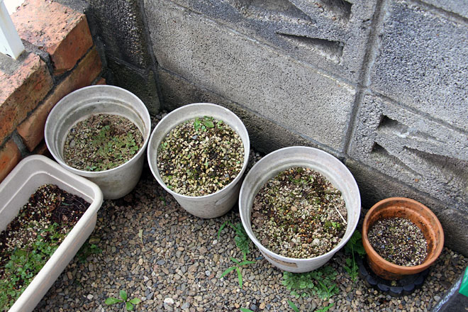 f:id:takahikonojima:20200809095510j:plain