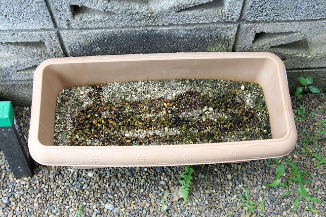 f:id:takahikonojima:20200809095513j:plain