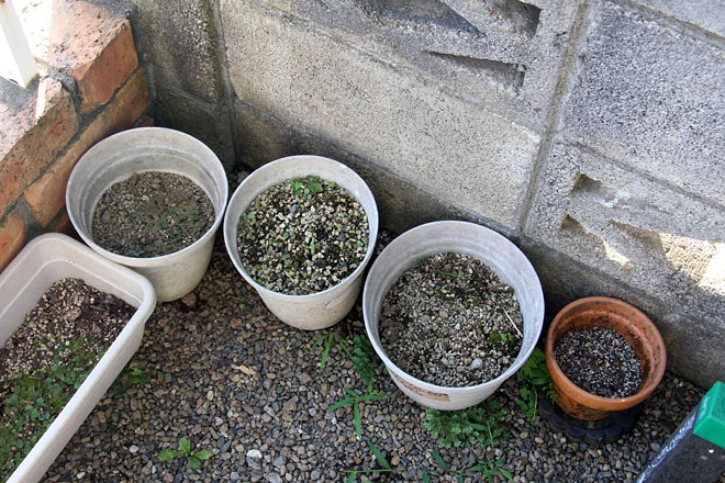 f:id:takahikonojima:20200811065233j:plain