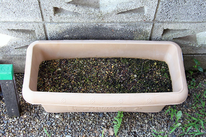 f:id:takahikonojima:20200813083428j:plain