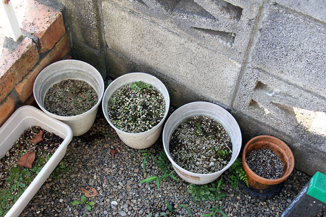 f:id:takahikonojima:20200814072106j:plain