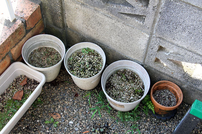 f:id:takahikonojima:20200815072744j:plain