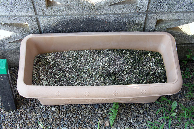 f:id:takahikonojima:20200815072748j:plain