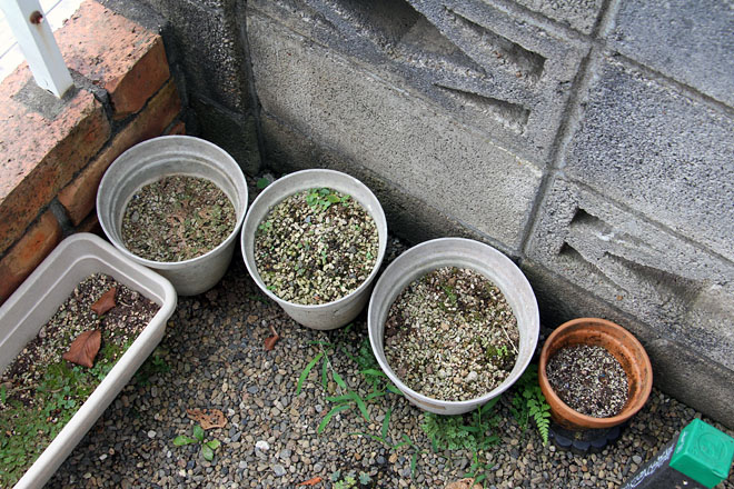 f:id:takahikonojima:20200817071226j:plain