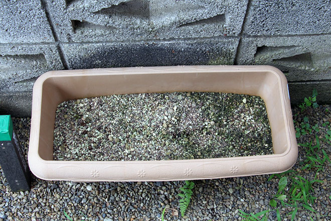 f:id:takahikonojima:20200817071230j:plain