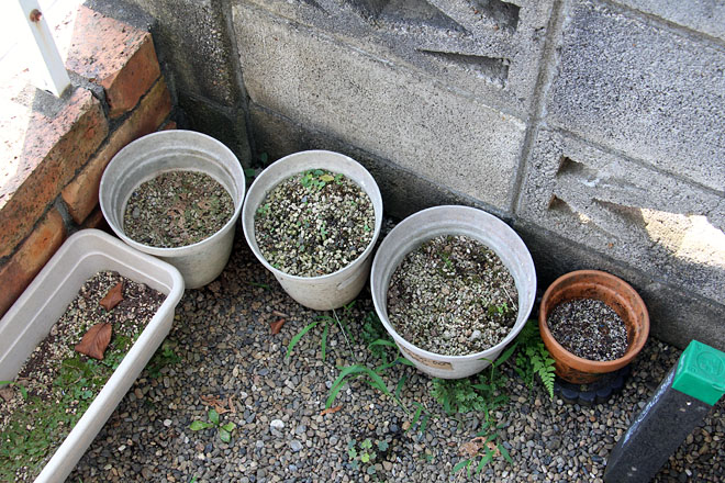 f:id:takahikonojima:20200818072740j:plain