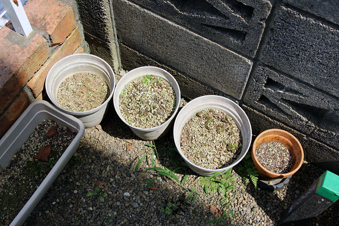 f:id:takahikonojima:20200819124948j:plain