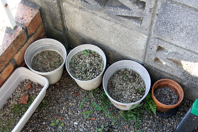 f:id:takahikonojima:20200820073021j:plain