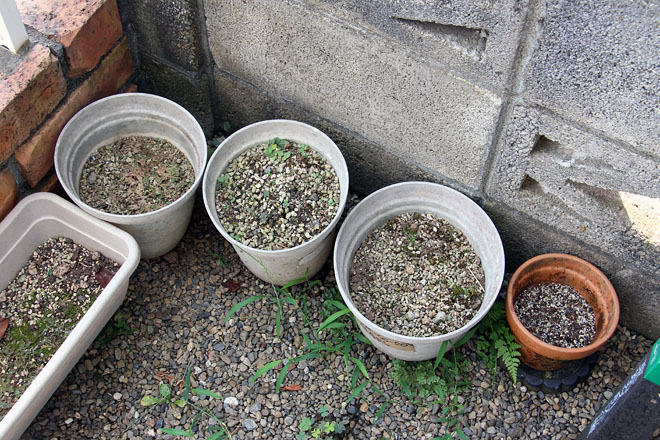 f:id:takahikonojima:20200822081100j:plain