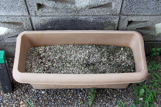 f:id:takahikonojima:20200822081103j:plain