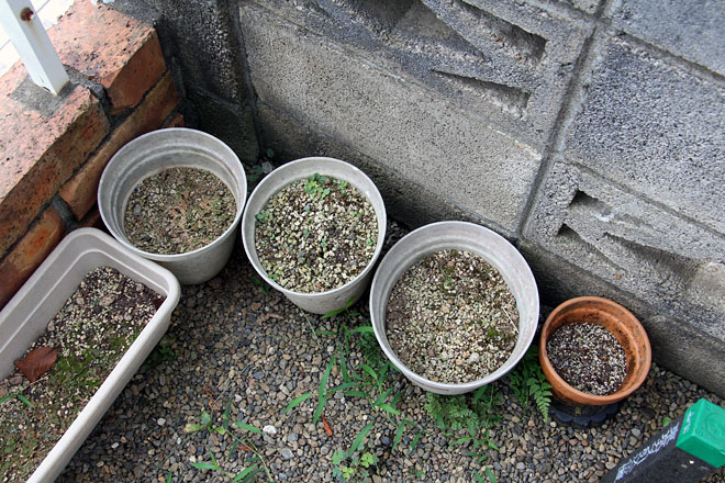 f:id:takahikonojima:20200823080817j:plain