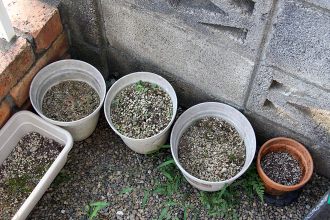 f:id:takahikonojima:20200825072407j:plain