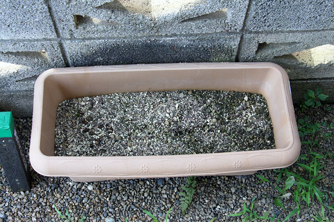 f:id:takahikonojima:20200825072410j:plain