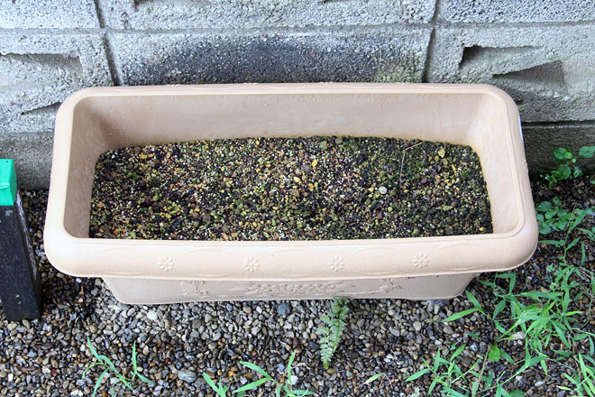 f:id:takahikonojima:20200827072423j:plain