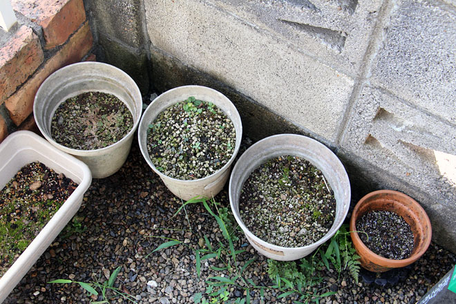 f:id:takahikonojima:20200829080659j:plain