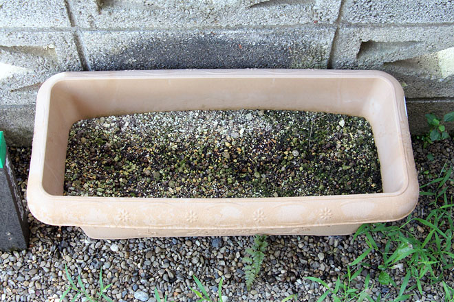 f:id:takahikonojima:20200829080703j:plain