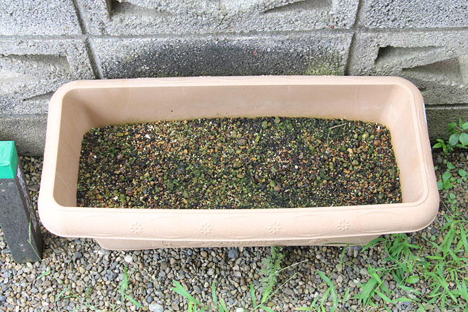 f:id:takahikonojima:20200913090136j:plain