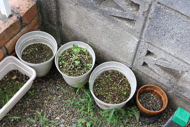 f:id:takahikonojima:20200914090036j:plain