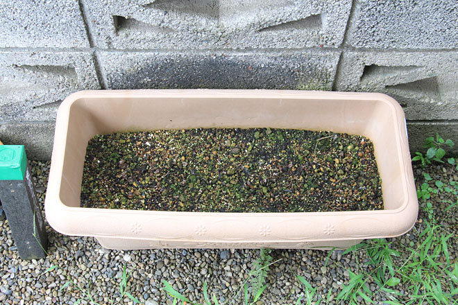 f:id:takahikonojima:20200914090038j:plain