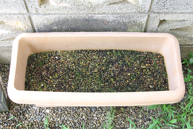 f:id:takahikonojima:20200915064213j:plain