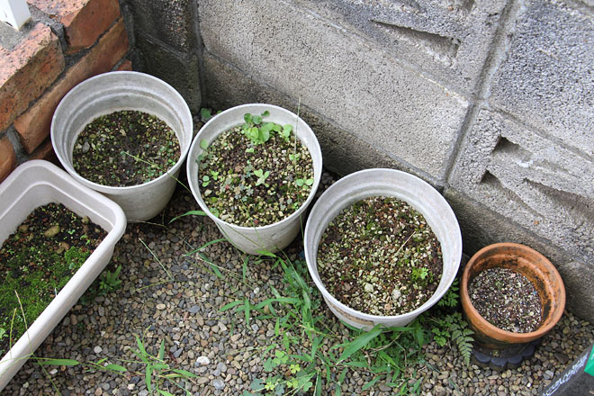 f:id:takahikonojima:20200917075816j:plain