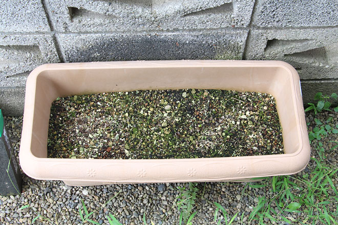 f:id:takahikonojima:20200917075821j:plain