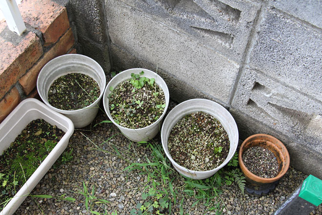 f:id:takahikonojima:20200918070939j:plain