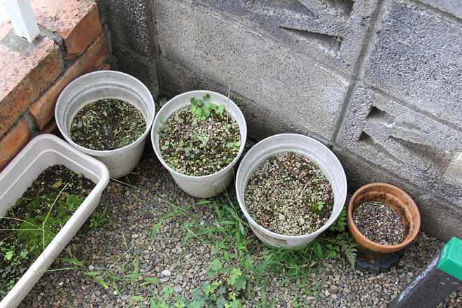 f:id:takahikonojima:20200919073202j:plain