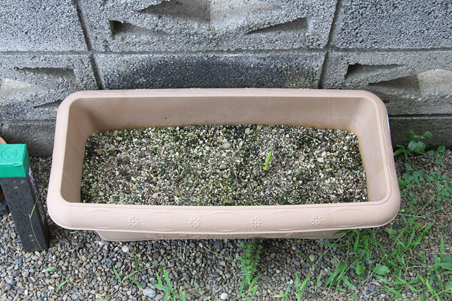 f:id:takahikonojima:20200919073206j:plain