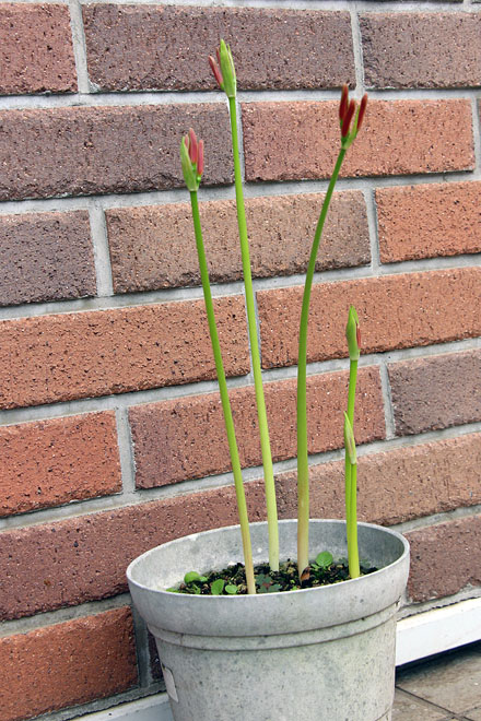 f:id:takahikonojima:20200927071117j:plain