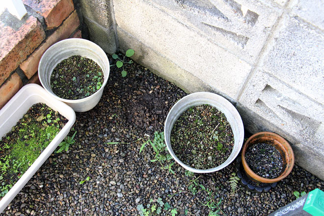 f:id:takahikonojima:20200928073540j:plain