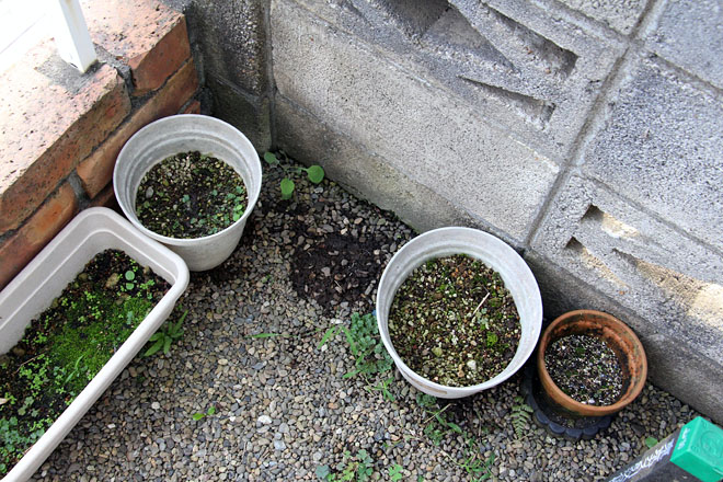 f:id:takahikonojima:20200929070019j:plain