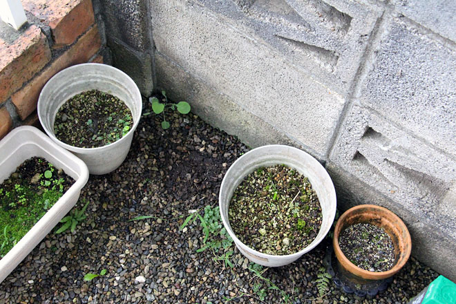 f:id:takahikonojima:20201001073032j:plain