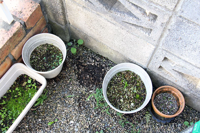 f:id:takahikonojima:20201002073629j:plain