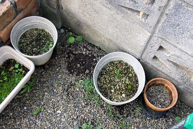 f:id:takahikonojima:20201003071522j:plain