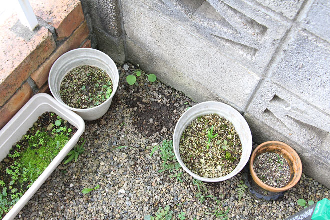 f:id:takahikonojima:20201004075353j:plain