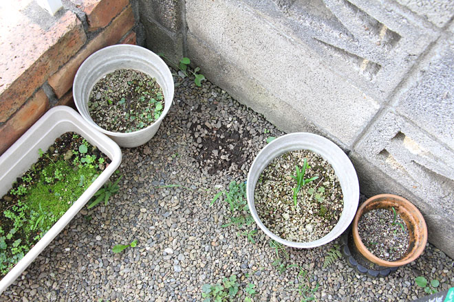 f:id:takahikonojima:20201006070221j:plain