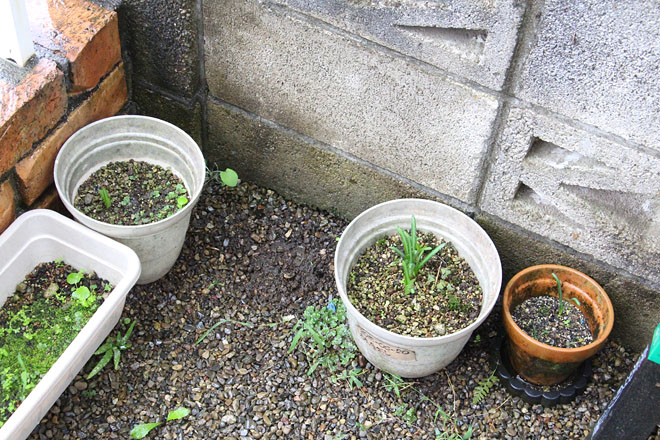 f:id:takahikonojima:20201008072758j:plain