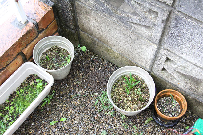 f:id:takahikonojima:20201009081256j:plain