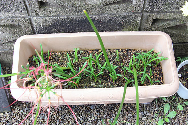 f:id:takahikonojima:20201011100809j:plain