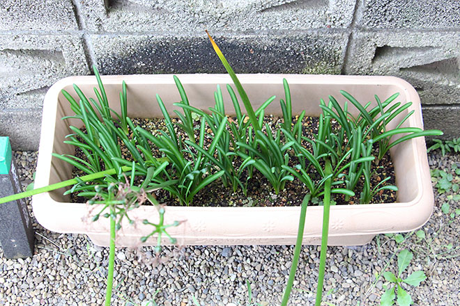 f:id:takahikonojima:20201016071100j:plain