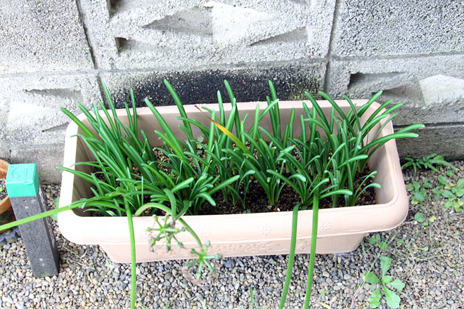f:id:takahikonojima:20201021065913j:plain
