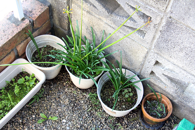 f:id:takahikonojima:20201025070701j:plain