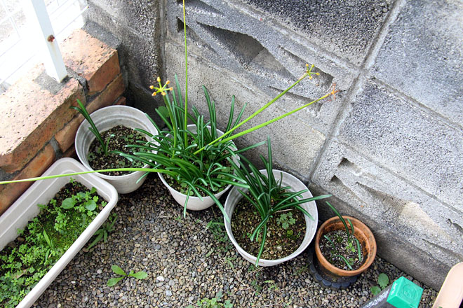 f:id:takahikonojima:20201026064719j:plain