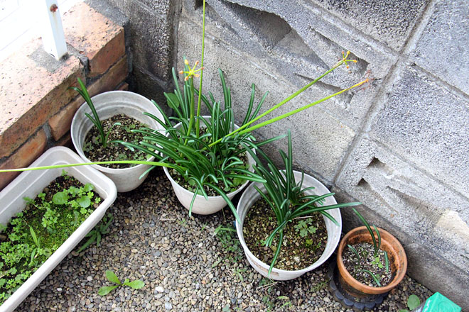 f:id:takahikonojima:20201027064221j:plain