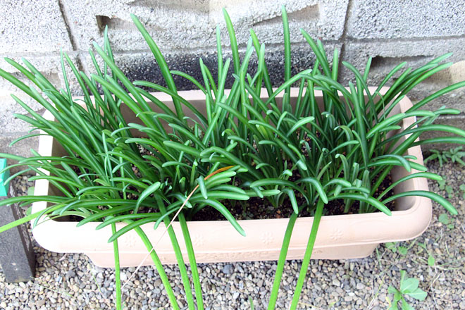 f:id:takahikonojima:20201028065439j:plain