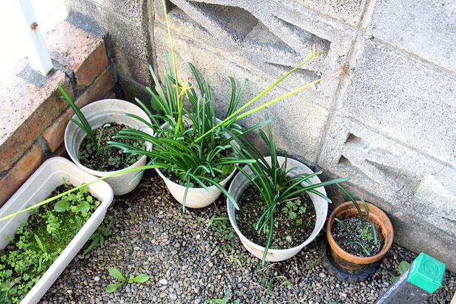 f:id:takahikonojima:20201029070909j:plain